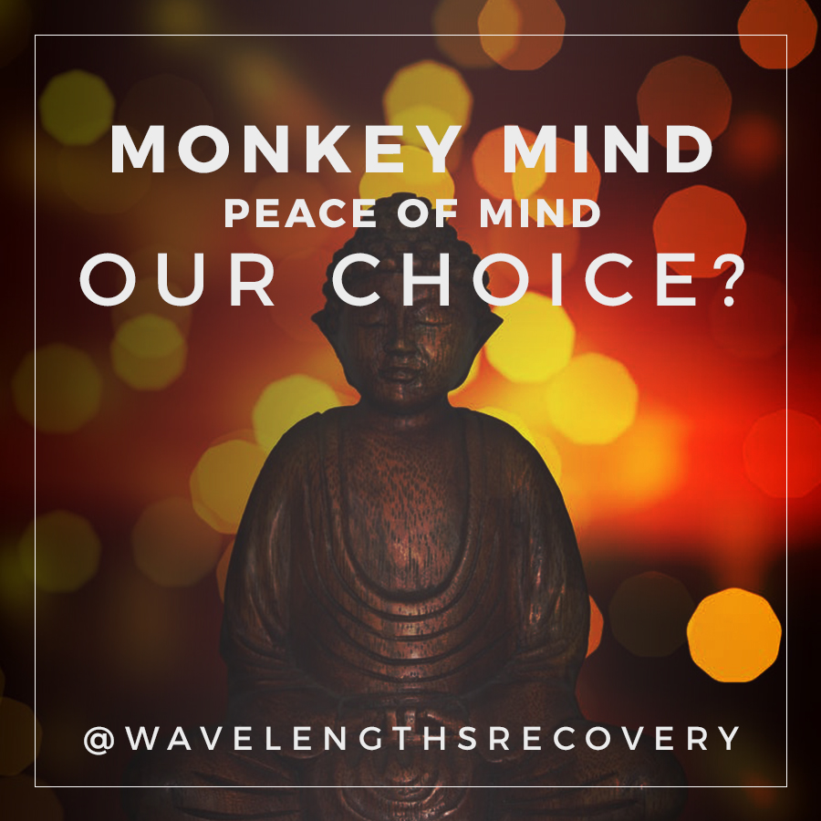 monkey mind peace of mind our choice