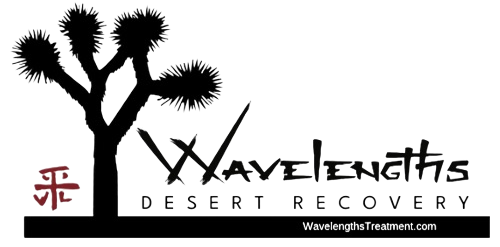 wavelengths desert recovery logo